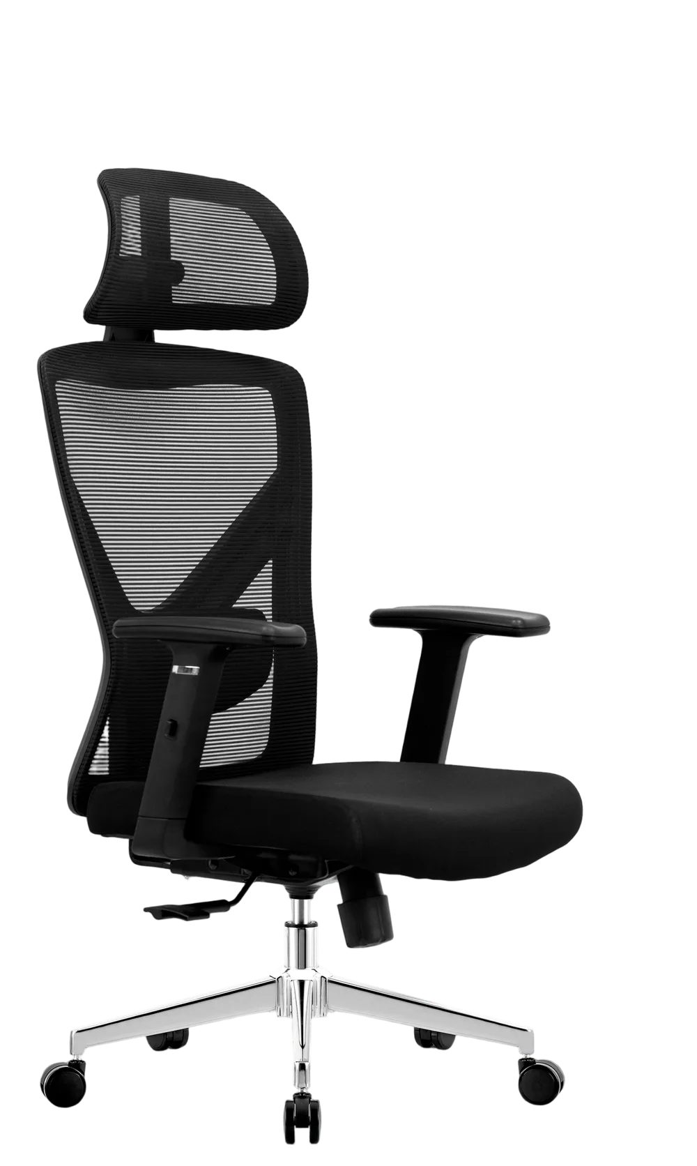 EVOLUTION ErgoLine 2