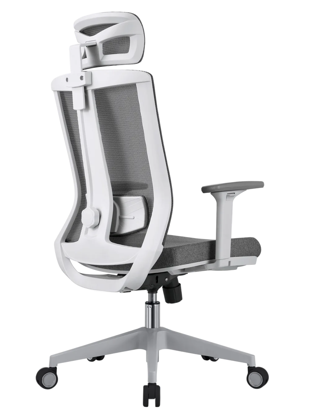 EVOLUTION ERGO BLISS Grey