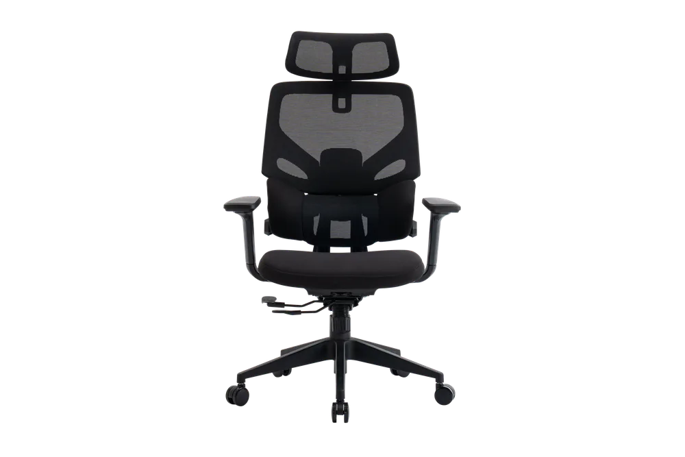 EVOLUTION LumbarPro
