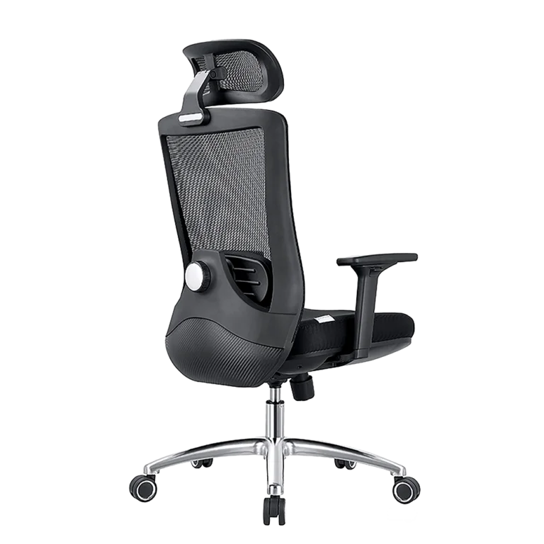 EVOLUTION ERGO PRIME Black