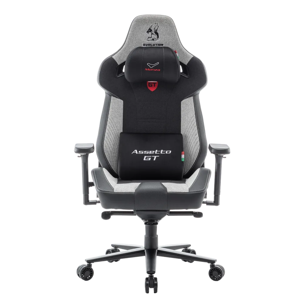 Игровое кресло EVOLUTION ASSETTO GT, вид спереди, черно-серое
