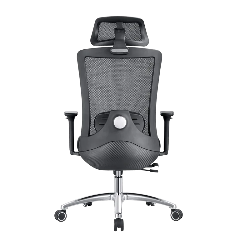 EVOLUTION ERGO PRIME Black