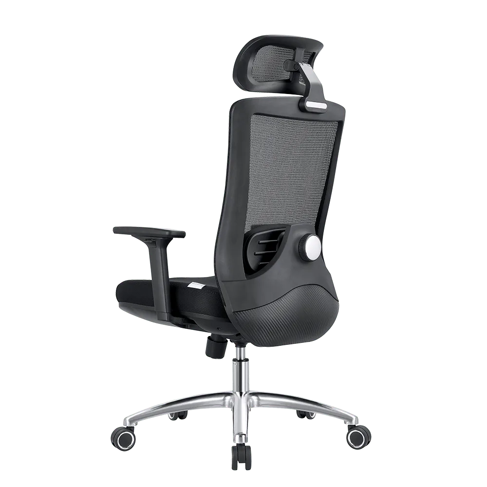EVOLUTION ERGO PRIME Black