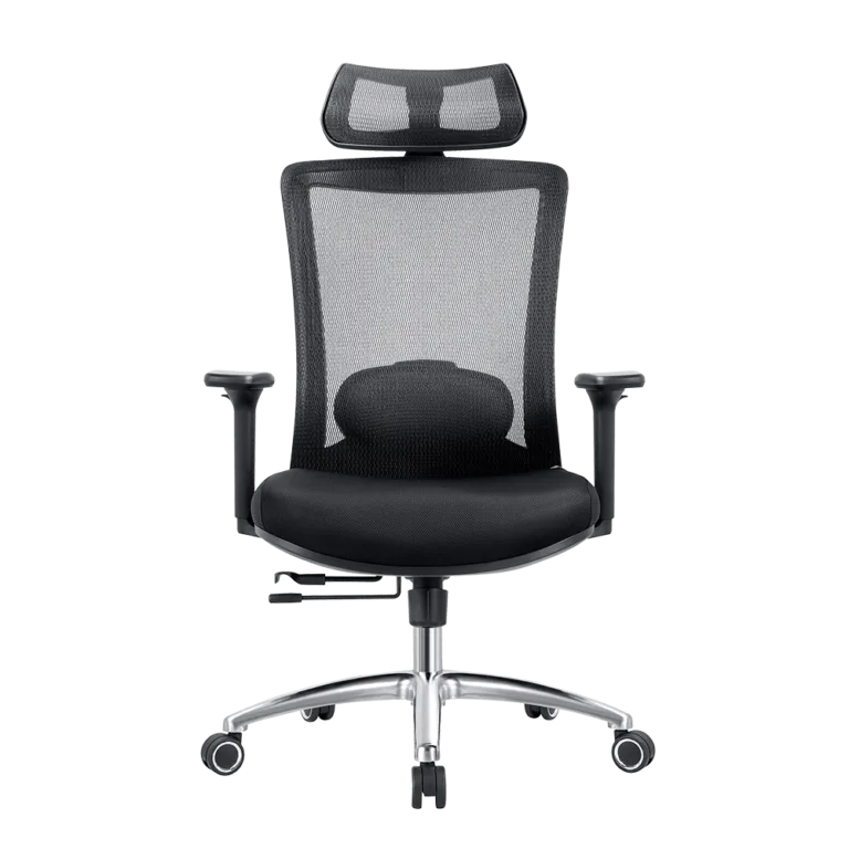 EVOLUTION ERGO PRIME Black