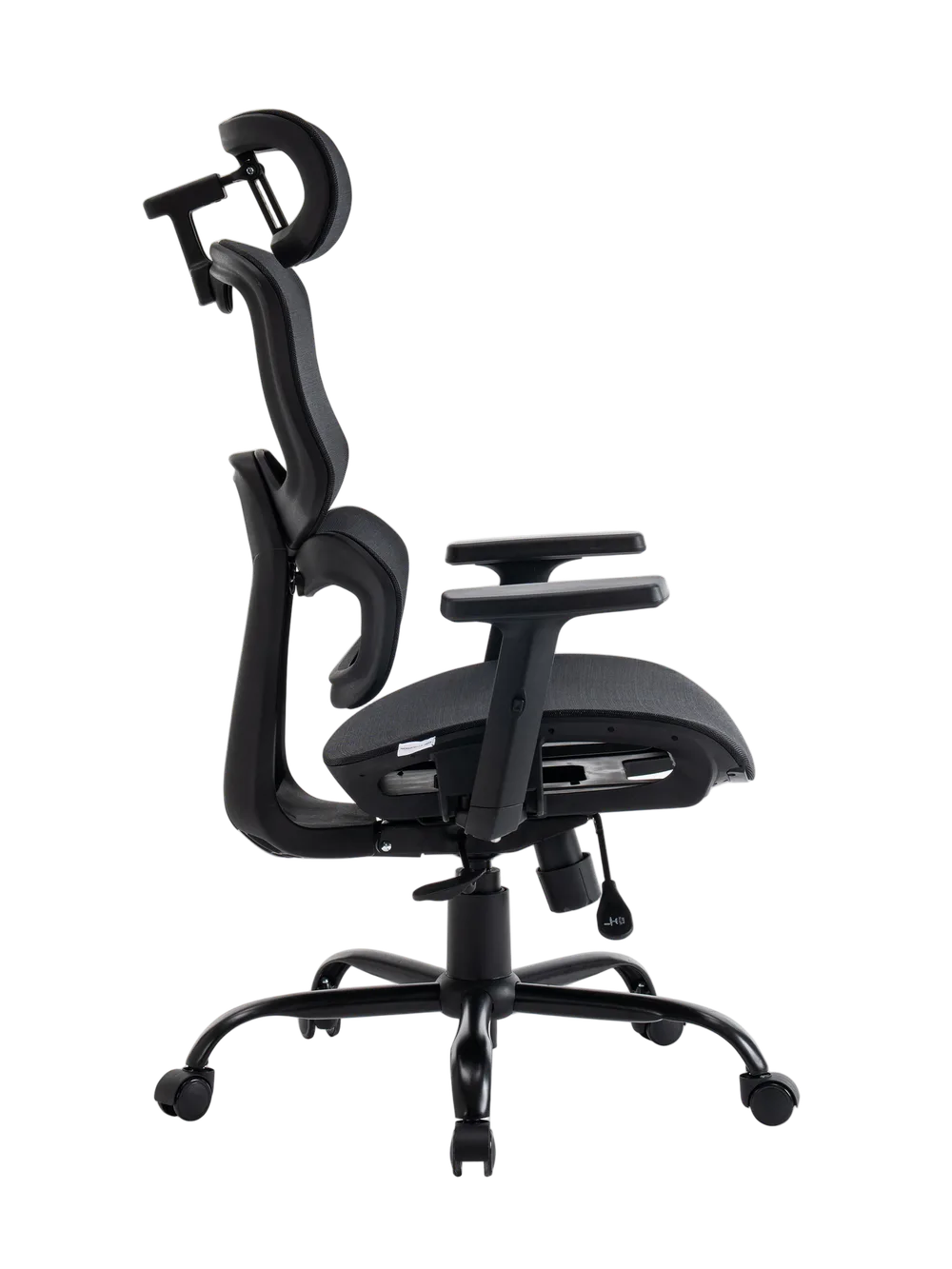 EVOLUTION ZenMesh
