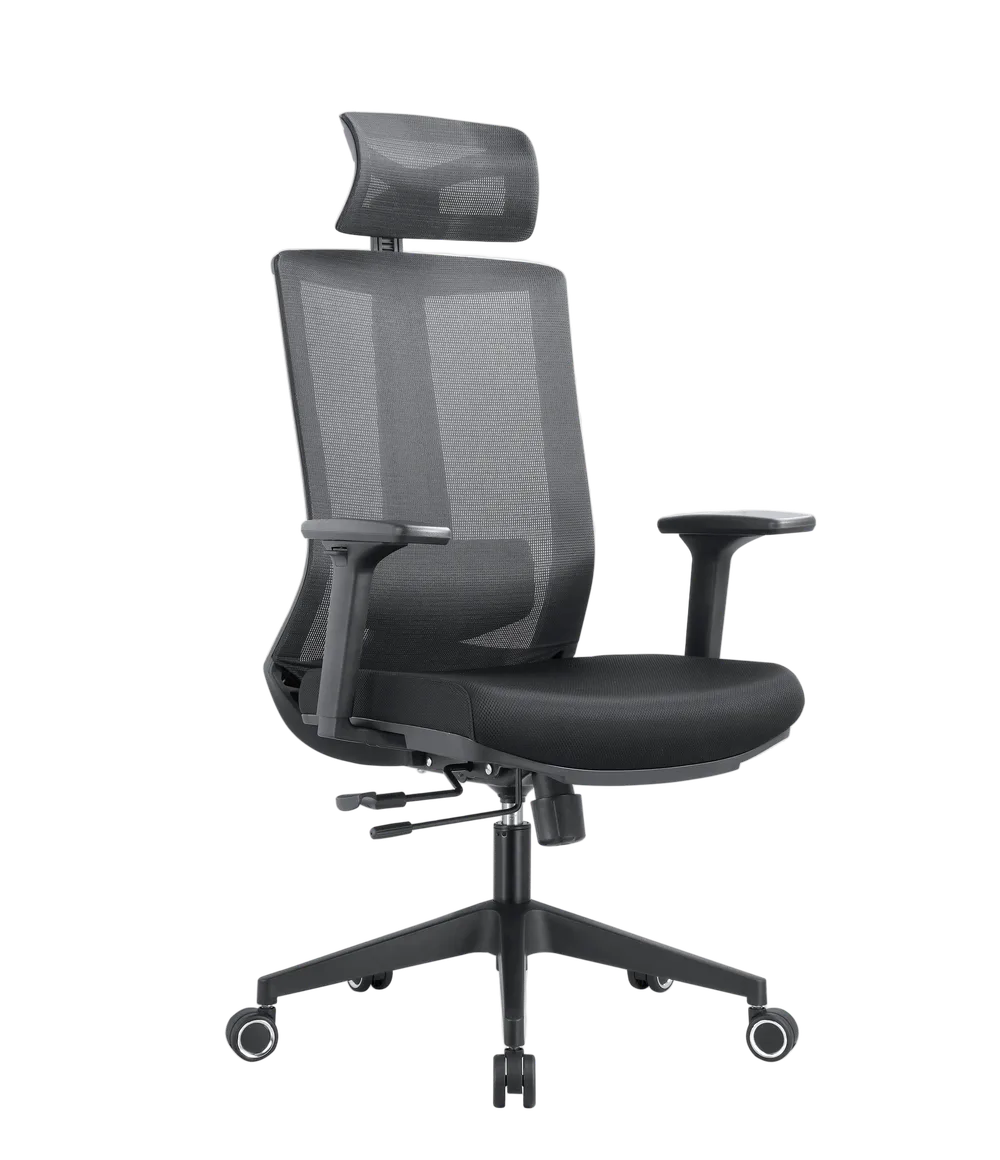 EVOLUTION ERGO BLISS Black