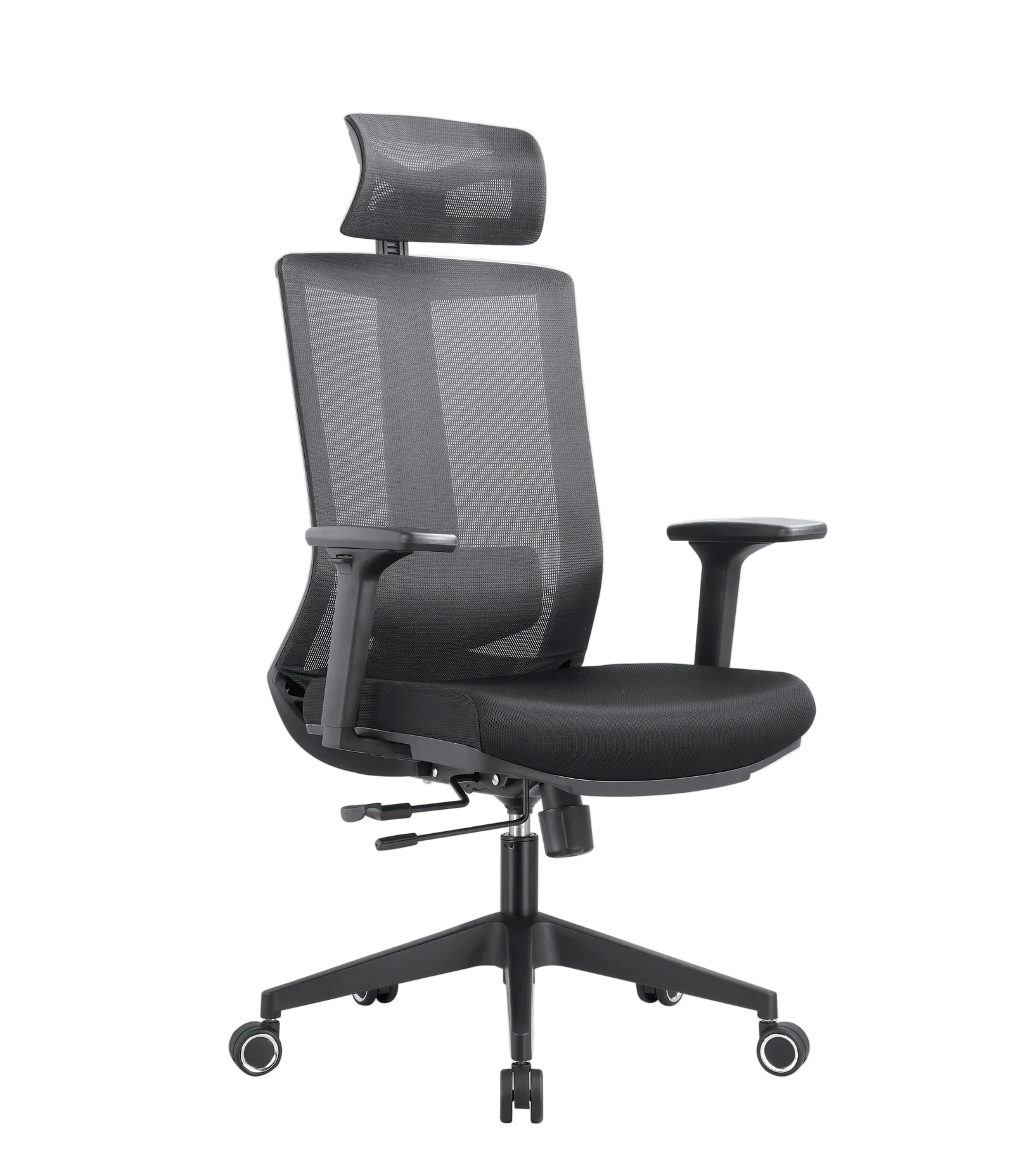 EVOLUTION ERGO BLISS Black