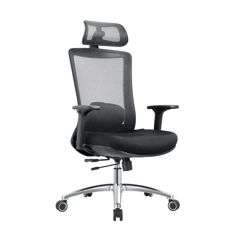 EVOLUTION ERGO PRIME Black