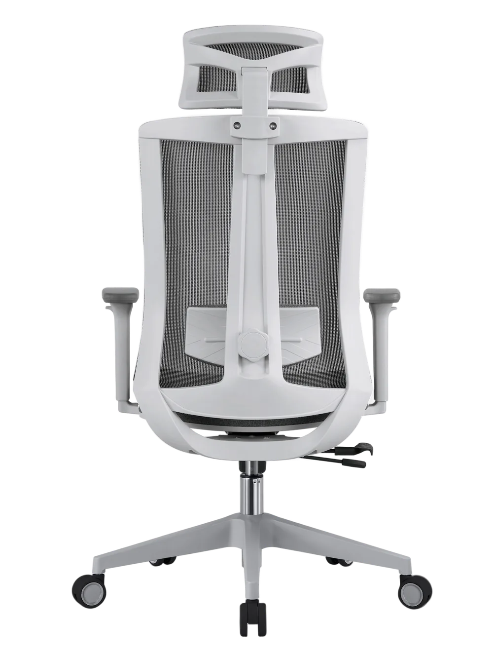 EVOLUTION ERGO BLISS Grey