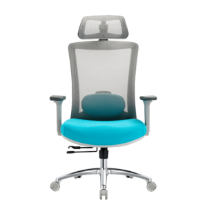 Кресло EVOLUTION ERGO PRIME Sky Blue
