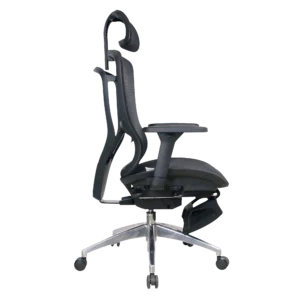 Кресло эргономичное офисное EVOLUTION ERGO ELITE BLACK