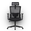 Кресло эргономичное офисное EVOLUTION ErgoLine 1