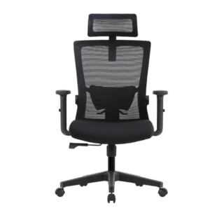 Кресло эргономичное офисное EVOLUTION ErgoLine 1