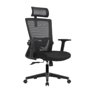 Кресло эргономичное офисное EVOLUTION ErgoLine 1