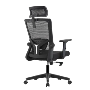 Кресло эргономичное офисное EVOLUTION ErgoLine 1