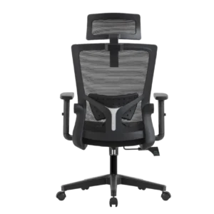 Кресло эргономичное офисное EVOLUTION ErgoLine 1