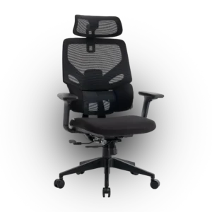 Кресло эргономичное офисное EVOLUTION LumbarPro (черный)