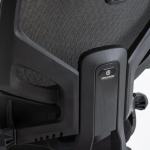 Кресло эргономичное офисное EVOLUTION LumbarPro AL (черный)