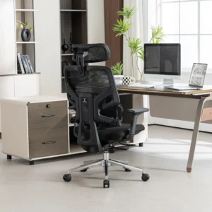 Кресло эргономичное офисное EVOLUTION LumbarPro AL (черный)