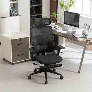Кресло эргономичное офисное EVOLUTION LumbarPro FR (черный)