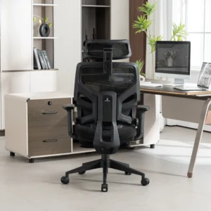 Кресло эргономичное офисное EVOLUTION LumbarPro FR (черный)
