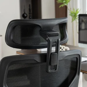 Кресло эргономичное офисное EVOLUTION LumbarPro FR (черный)