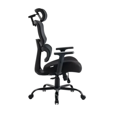 Кресло эргономичное офисное EVOLUTION ZenFoam Black (Черный)