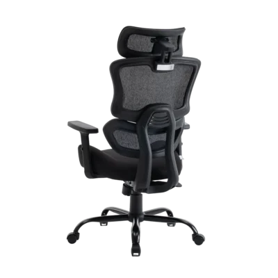 Кресло эргономичное офисное EVOLUTION ZenFoam Black (Черный)