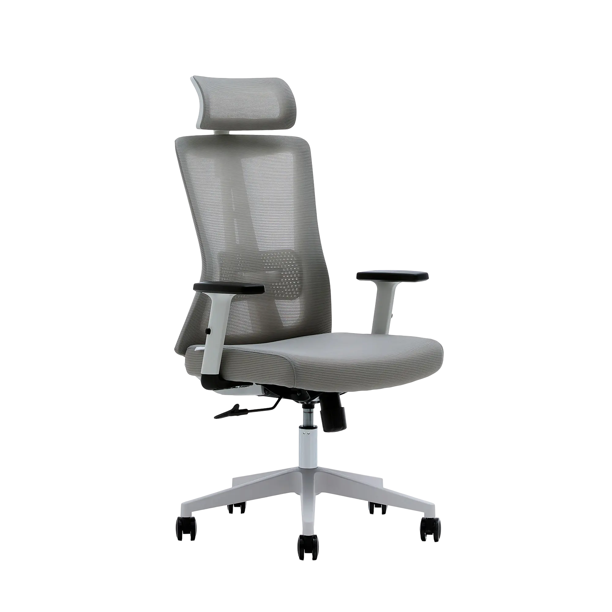 ErgoLine-3-grey