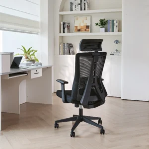 Эргономичное кресло Evolution ErgoLine 3