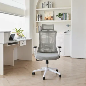 Кресло офисное компьютерное Evolution ErgoLine 3