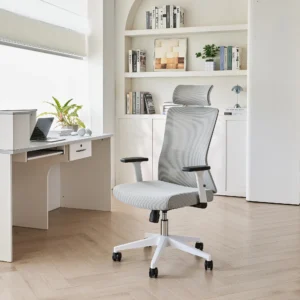 Кресло офисное компьютерное Evolution ErgoLine 3