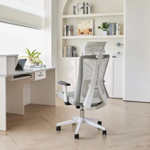 Кресло офисное компьютерное Evolution ErgoLine 3