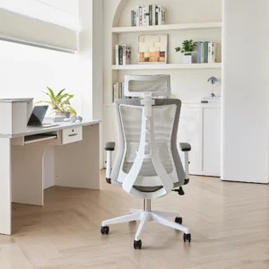 Кресло офисное компьютерное Evolution ErgoLine 3