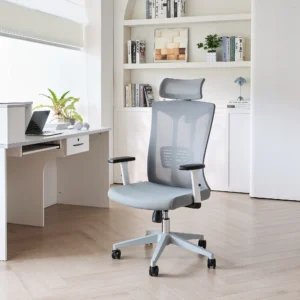 Кресло компьютерное EVOLUTION ErgoLine 4 Grey