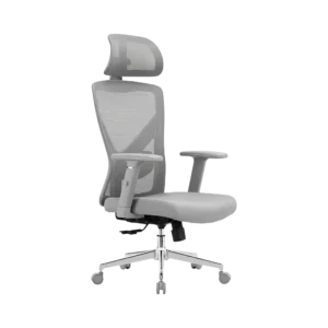 EVOLUTION ErgoLine 2 Grey