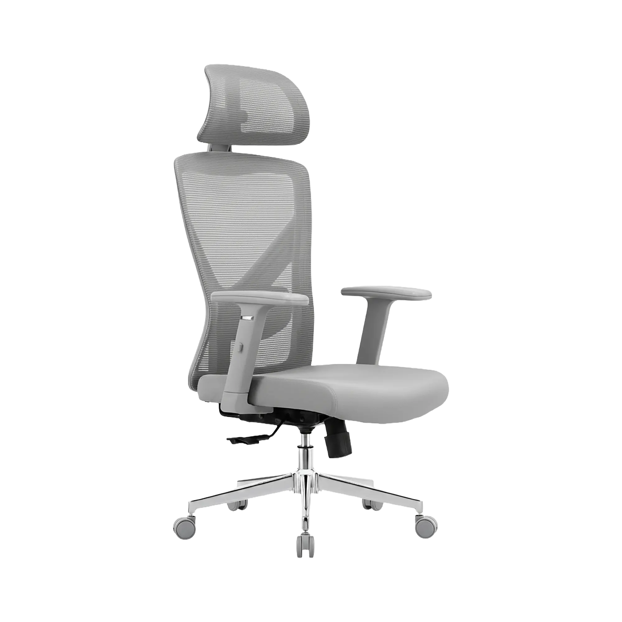 EVOLUTION ErgoLine 2 Grey
